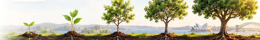 Australian landscape illustration showing growth from a small seedling to mature trees